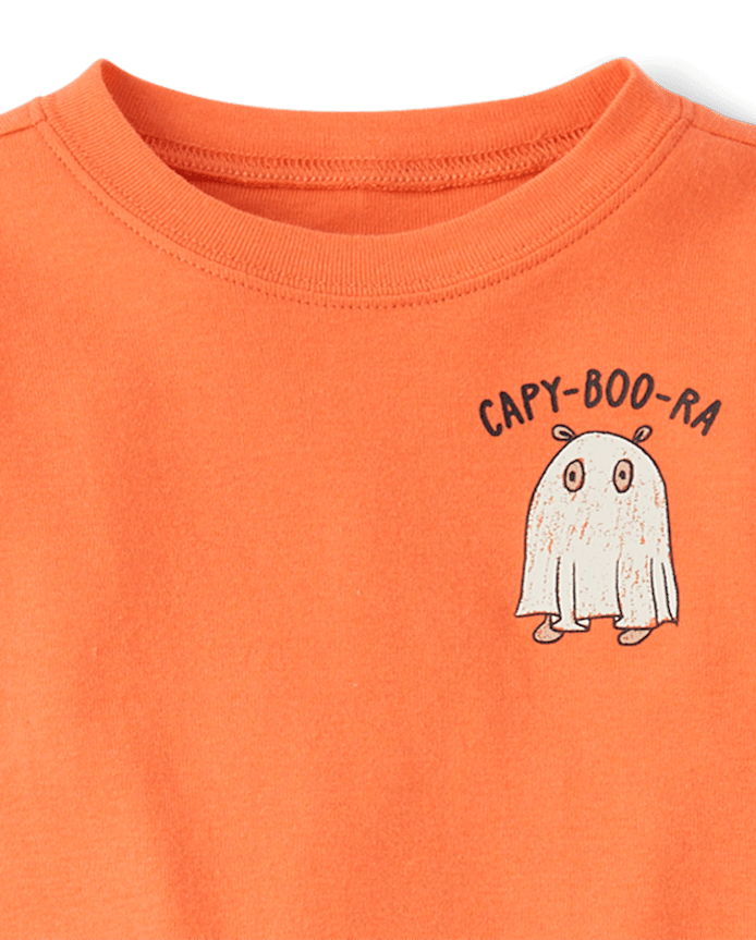 Baby And Toddler Halloween Capybara Snug Fit Cotton Pajamas