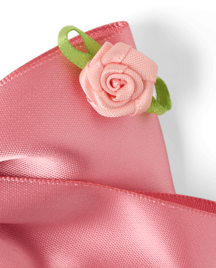 Girls Bow Rosette Hair Clip 2-Pack