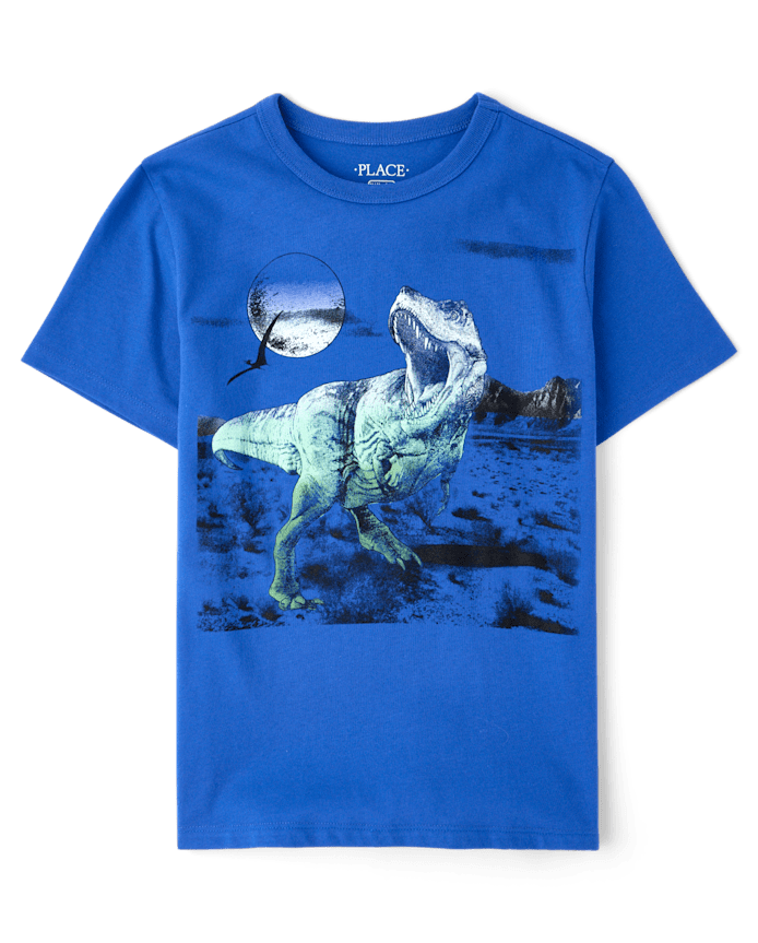 Boys Dino Graphic Tee