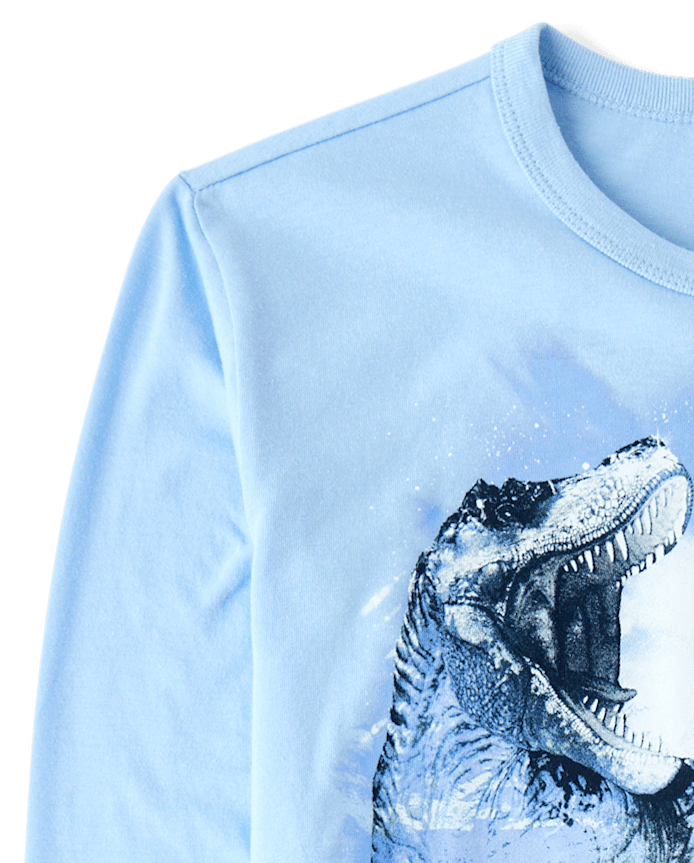 Boys Winter Dino Graphic Tee