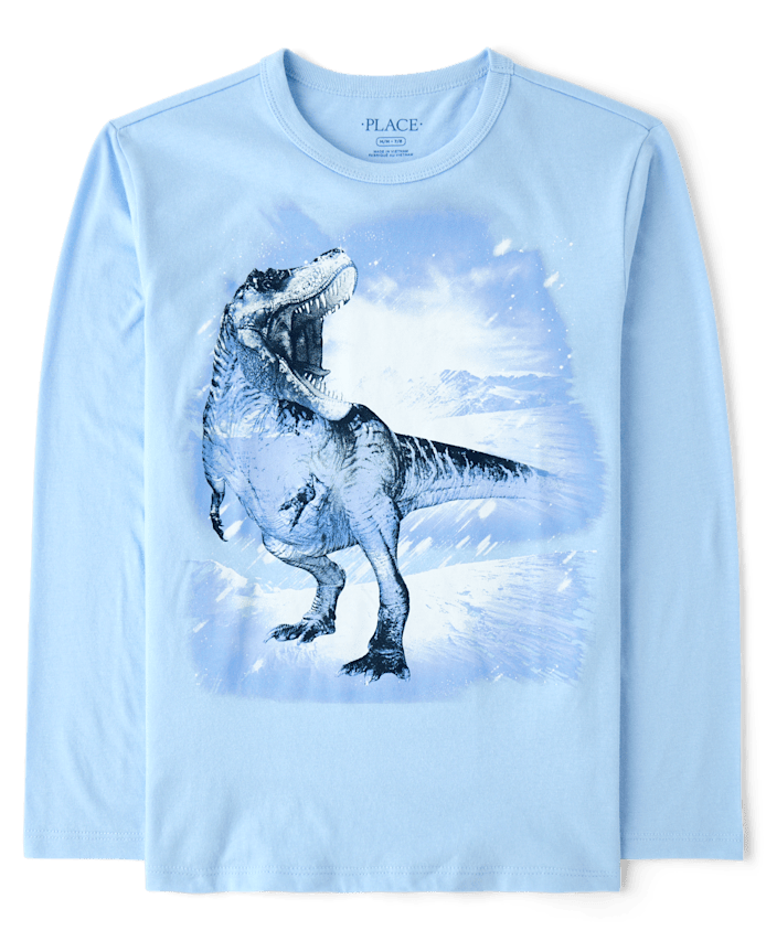 Boys Winter Dino Graphic Tee