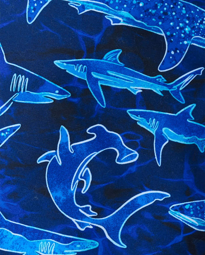 Boys Shark Rashguard Swimsuit