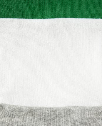 Boys Colorblock Sweatshirt - Dino Roar