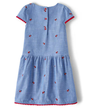 NWT Gymboree Wildfllower Weekend Ladybug Dress SZ 2T,3T,4T,5T Girl Toddler 