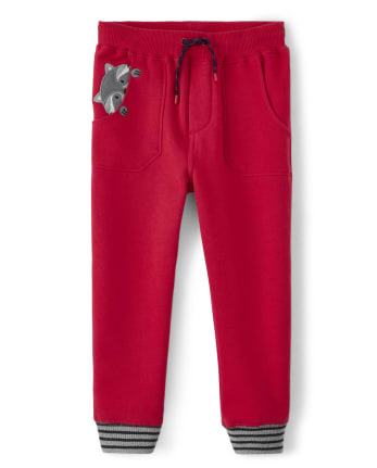 Boys Raccoon Pull On Jogger Pants - Head of the Class