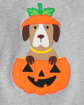 Boys Embroidered Dog Raglan Top - Trick or Treat