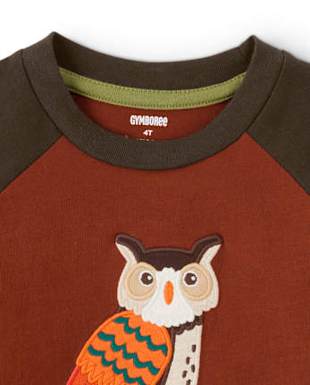 Boys Embroidered Owl Raglan Top - Autumn Harvest