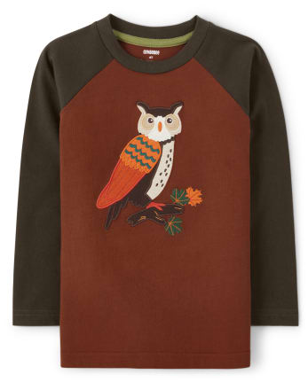 Haut raglan à motif hibou brodé pour garçon - Récolte d'automne