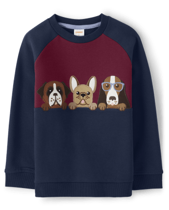 Boys Embroidered Dogs Colorblock Raglan Top - Playful Pups