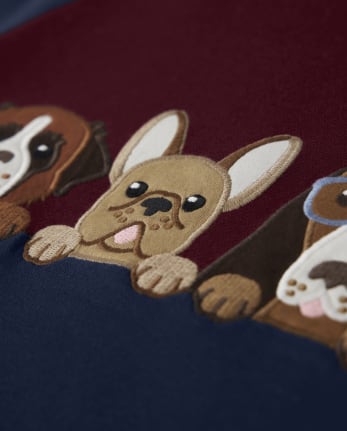 Boys Embroidered Dogs Colorblock Raglan Top - Playful Pups