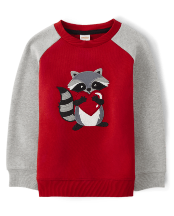 Boys Embroidered Raccoon Sweatshirt - Valentine Cutie