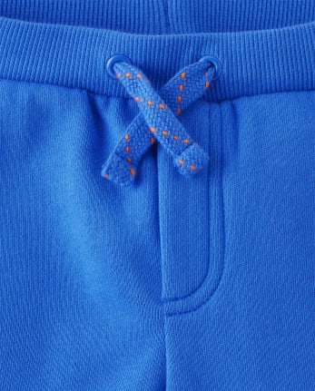 Boys Colorblock Fleece Jogger Pants - Dino Friends