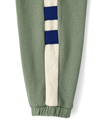 Boys Colorblock Fleece Jogger Pants - Dino Friends