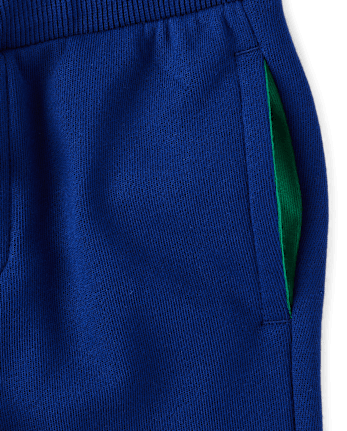 Boys Dino Fleece Jogger Pants - Dino Friends