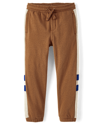 Boys Colorblock Fleece Jogger Pants - Dino Friends