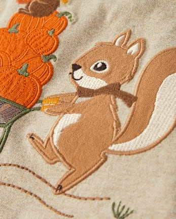 Boys Embroidered Squirrel Raglan Top - Fall Celebrations