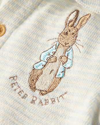 Baby Boys Peter Rabbit™ Embroidered Terry 2-Piece Outfit Set