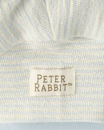 Baby Boys Peter Rabbit™ Embroidered Terry 2-Piece Outfit Set