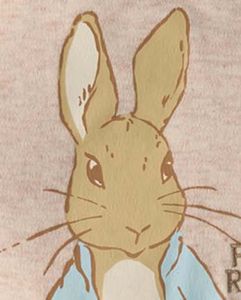 Baby Peter Rabbit™ Bib 3-Pack