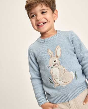 Pull brodé lapin pour garçon - Jardin enchanté