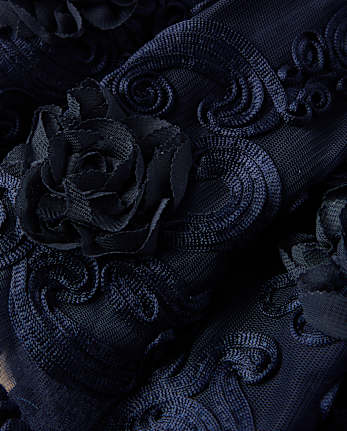 Girls Embroidered Tulle Fit And Flare Dress - Marchesa Mini x Gymboree - NAVY SLATE