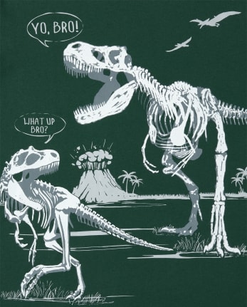 Boys Dino Bro Matching Graphic Tee