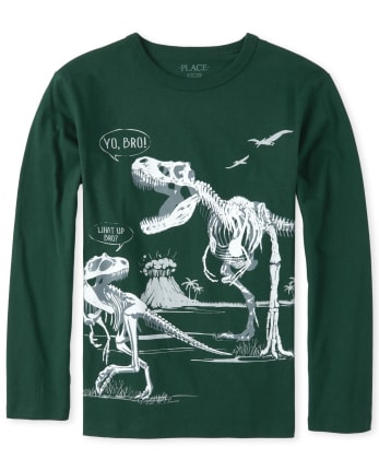 Boys Dino Bro Matching Graphic Tee