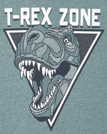 Boys Dino Graphic Tee
