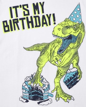 Boys Birthday Dino Graphic Tee
