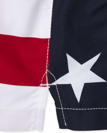 Baby And Toddler Boys Americana Stars Swim Trunks