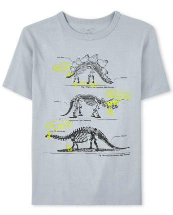 Boys Dino Graphic Tee