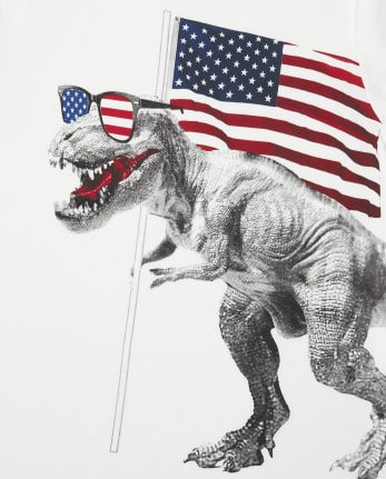 Boys Americana Dino Flag Graphic Tee