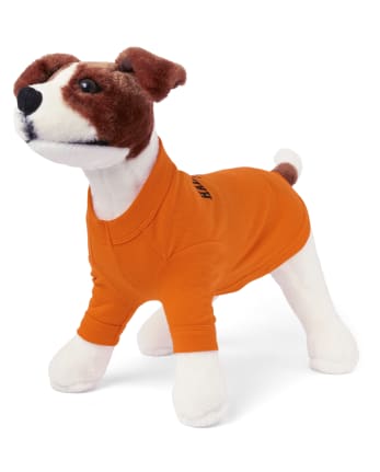 Camiseta gráfica Halloween 2020 de la familia a juego con perros