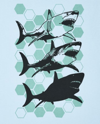 Boys Dino Shark Graphic Tee 2-Pack