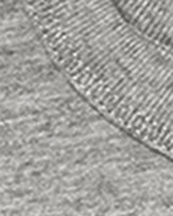 Lot de 3 t-shirts superposés de base pour garçons