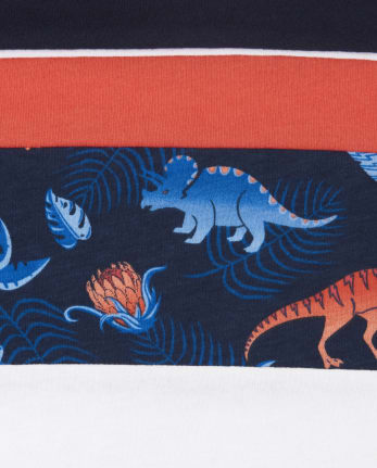 Ensemble 2 pièces dinosaure pour tout-petit garçon