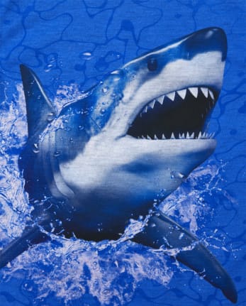Boys Shark Pajamas