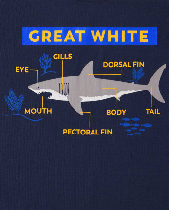 Boys Shark Camo Snug Fit Cotton Pajamas 2-Pack