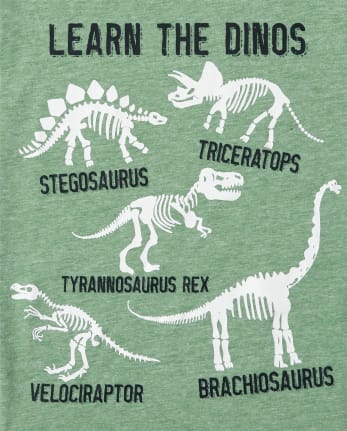 Baby And Toddler Boys Learn Dinos Graphic Tee