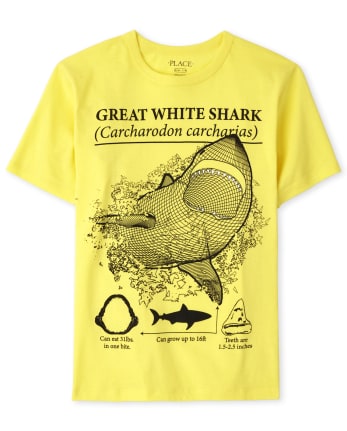Boys Shark Graphic Tee