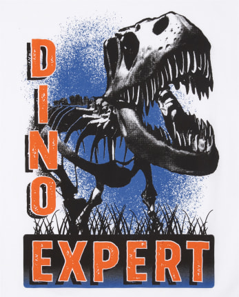 Camiseta gráfica Dino Expert para niños