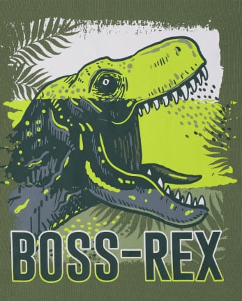 Boys Dino Camo Snug Fit Cotton Pajamas 2-Pack