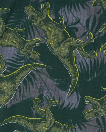 Boys Dino Camo Snug Fit Cotton Pajamas 2-Pack
