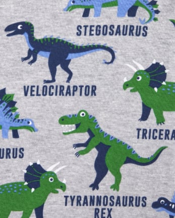 Baby And Toddler Boys Dino Snug Fit Cotton Pajamas 2-Pack