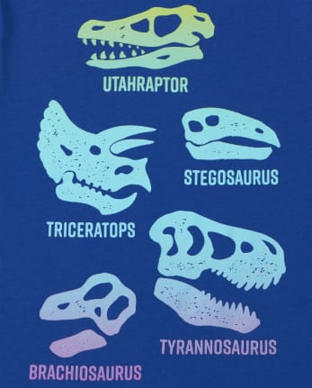 Toddler Boys Dino Fossils Graphic Tee
