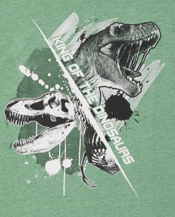 T-shirt à motif dinosaure pour garçon