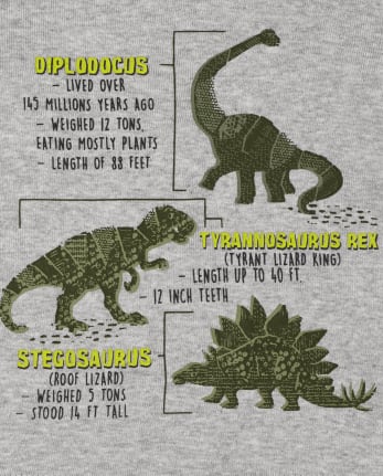 Baby And Toddler Boys Dino Snug Fit Cotton Pajamas