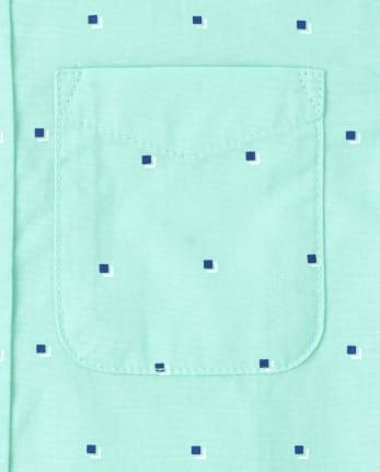 Baby And Toddler Boys Print Poplin Button Up Shirt