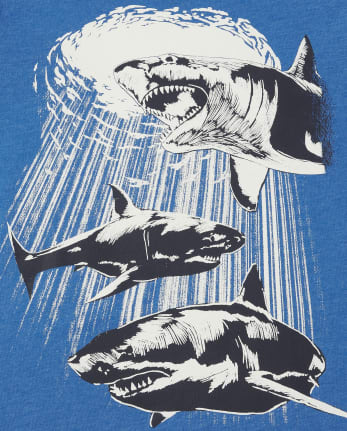 Paquete de 2 camisetas con gráfico de dinosaurio Dino para niños