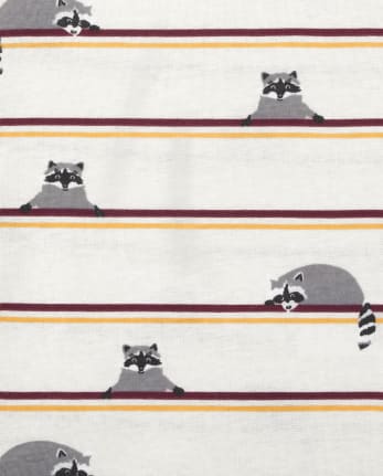 Baby Boys Raccoon Bodysuit 4-Pack
